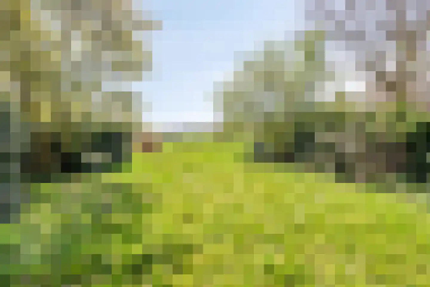 Burggraaf 26 Loenen thumbnail 65
