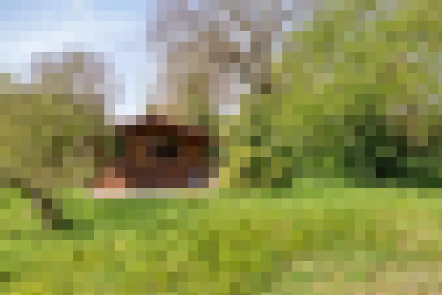Burggraaf 26 Loenen thumbnail 66