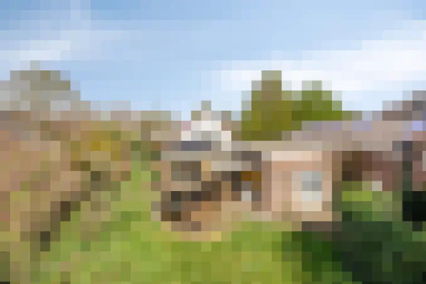 Burggraaf 26 Loenen thumbnail 69