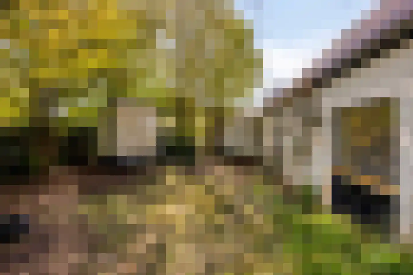 Burggraaf 26 Loenen thumbnail 75
