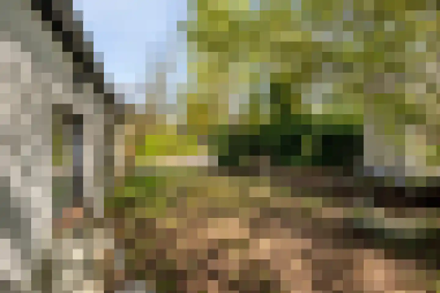 Burggraaf 26 Loenen thumbnail 76