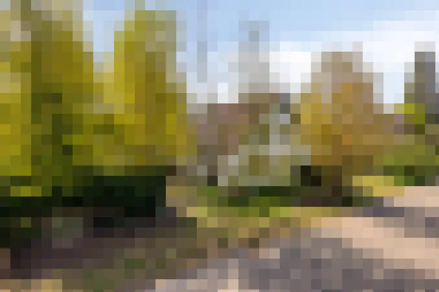 Burggraaf 26 Loenen thumbnail 81