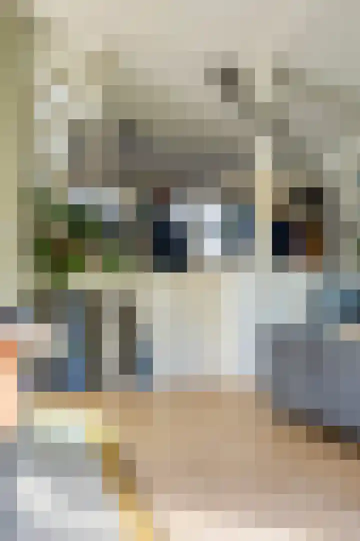 Burggraaf 6 Heerenveen thumbnail 11