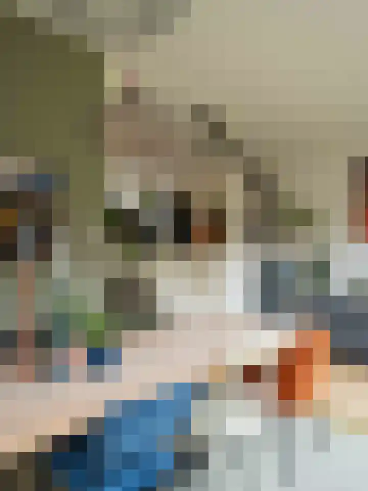 Burggraaf 6 Heerenveen thumbnail 12