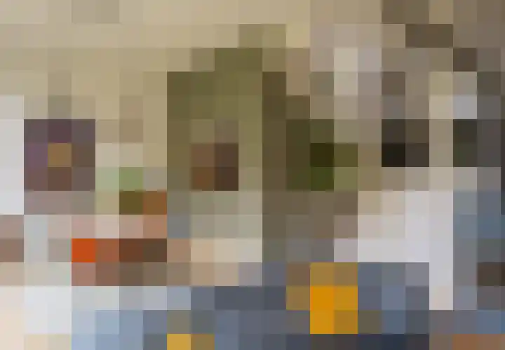 Burggraaf 6 Heerenveen thumbnail 14