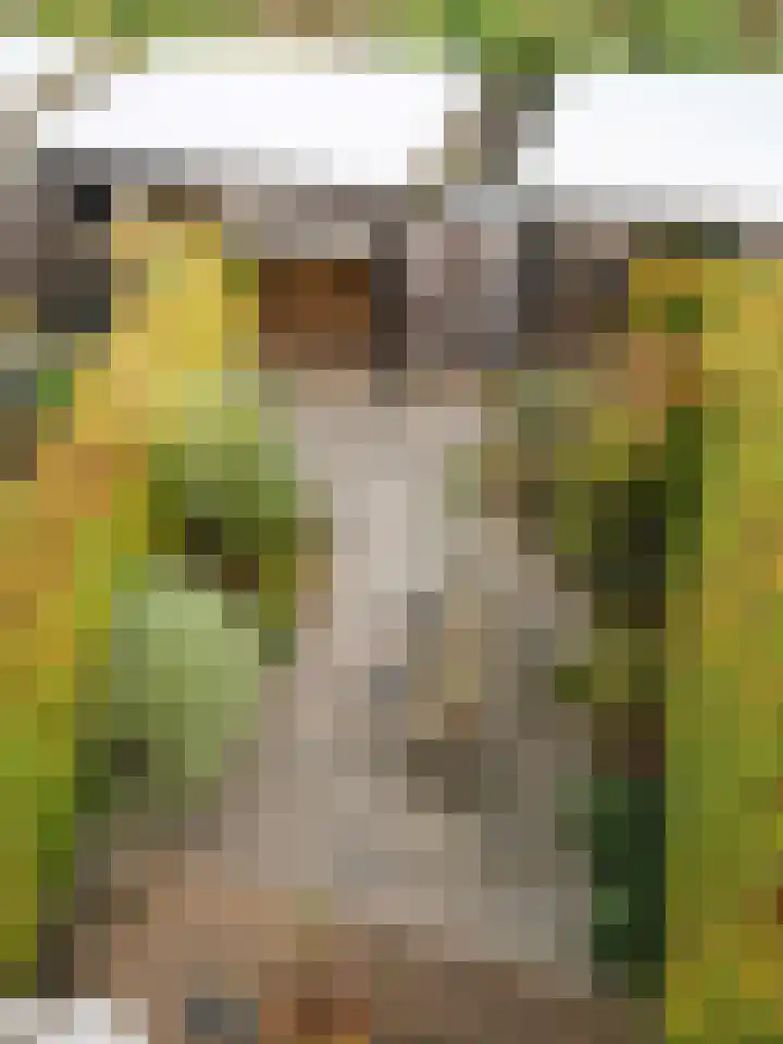 Burggraaf 6 Heerenveen thumbnail 23