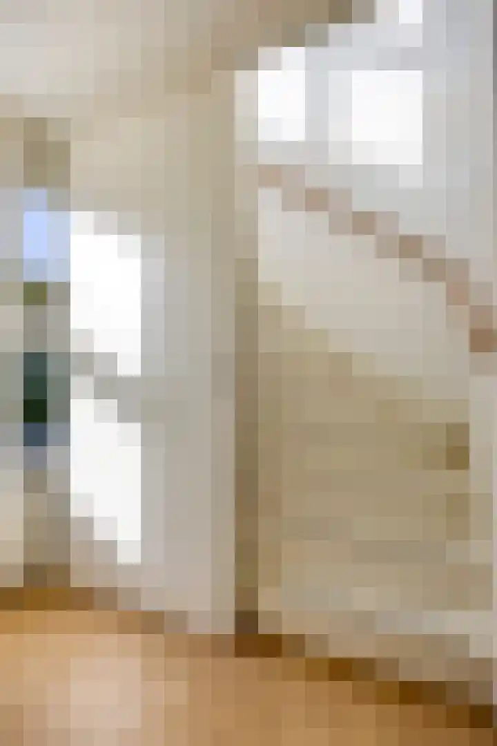 Burggraaf 6 Heerenveen thumbnail 26