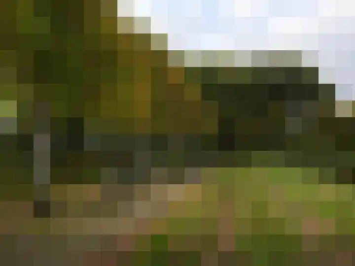 Burggraaf 6 Heerenveen thumbnail 34