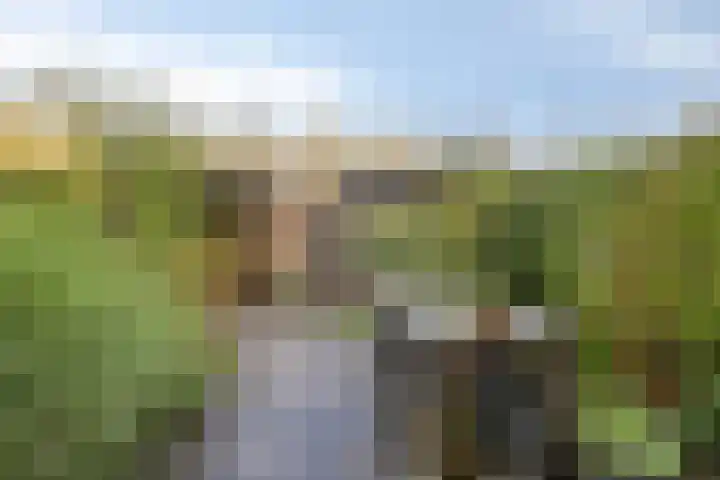 Burggraaf 6 Heerenveen thumbnail 5