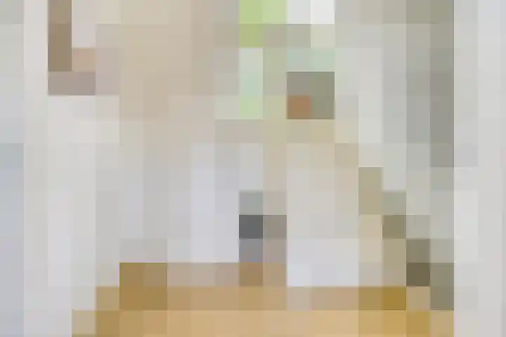 Burggraaf 6 Heerenveen thumbnail 8