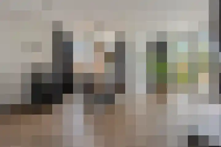 Burggraaf 8 Zevenhuizen thumbnail 11