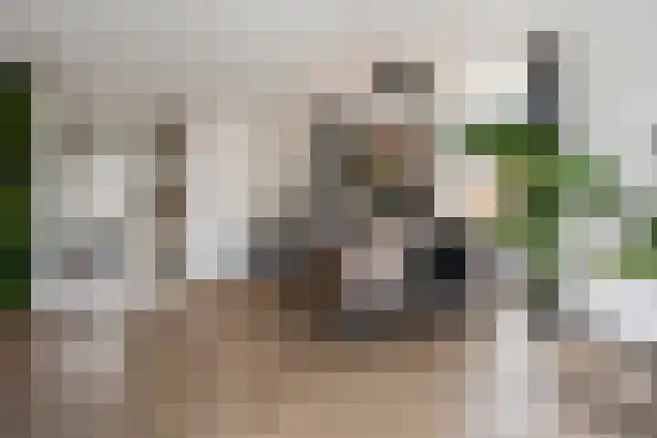 Burggraaf 8 Zevenhuizen thumbnail 12