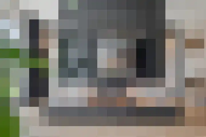 Burggraaf 8 Zevenhuizen thumbnail 13