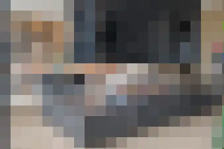 Burggraaf 8 Zevenhuizen thumbnail 14