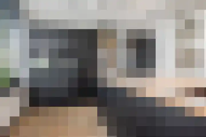 Burggraaf 8 Zevenhuizen thumbnail 17