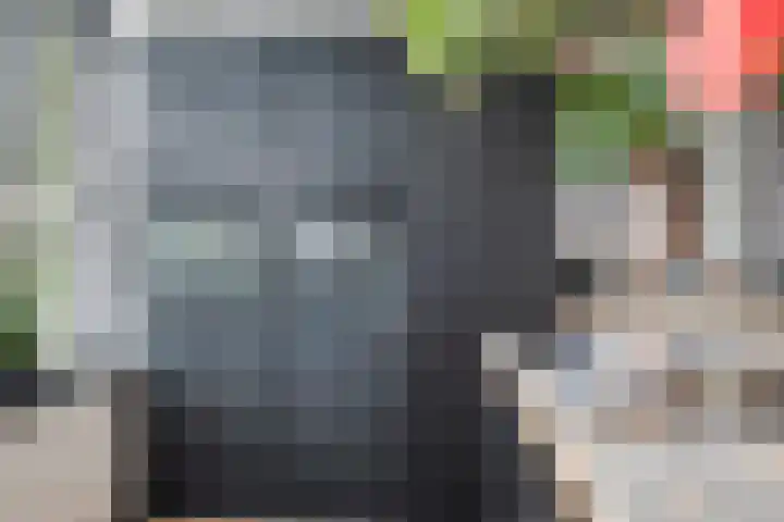 Burggraaf 8 Zevenhuizen thumbnail 20