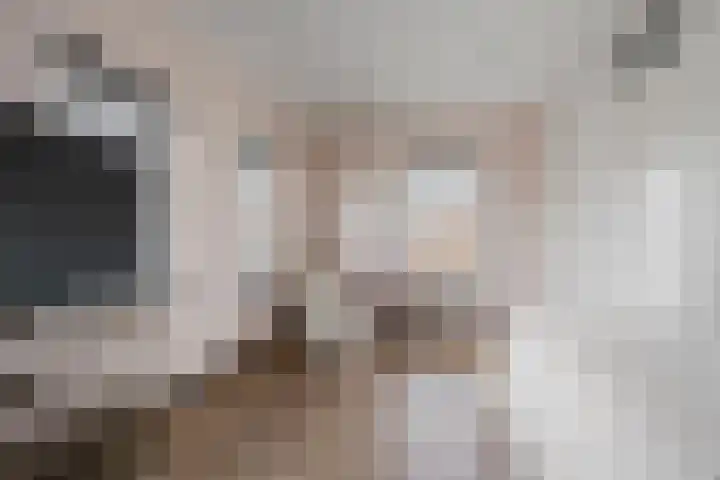 Burggraaf 8 Zevenhuizen thumbnail 23