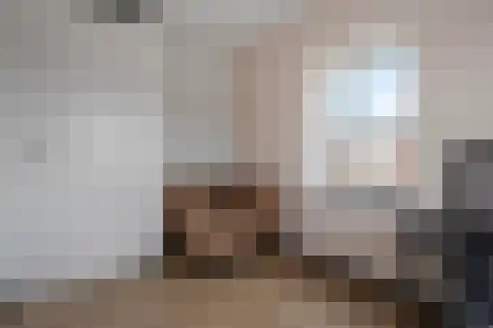 Burggraaf 8 Zevenhuizen thumbnail 27
