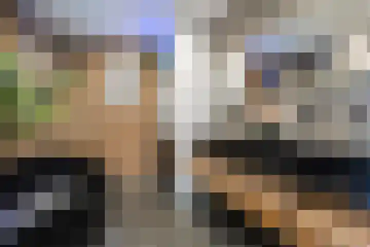 Burggraaf 8 Zevenhuizen thumbnail 28