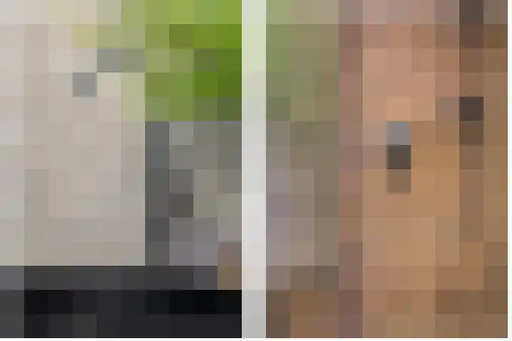 Burggraaf 8 Zevenhuizen thumbnail 32