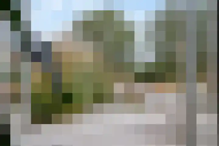 Burggraaf 8 Zevenhuizen thumbnail 39