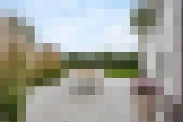Burggraaf 8 Zevenhuizen thumbnail 40