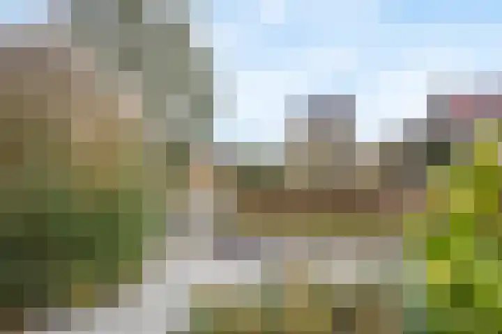 Burggraaf 8 Zevenhuizen thumbnail 42