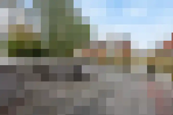 Burggraaf 8 Zevenhuizen thumbnail 43
