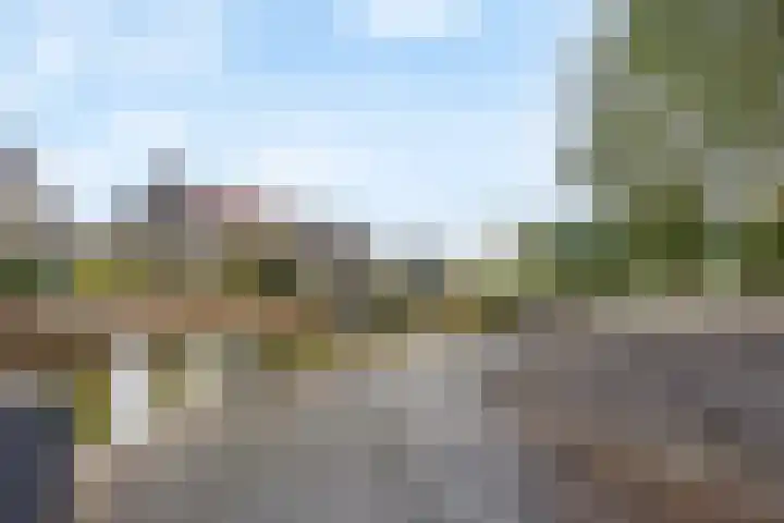 Burggraaf 8 Zevenhuizen thumbnail 44