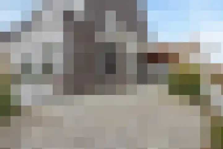 Burggraaf 8 Zevenhuizen thumbnail 47