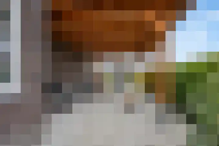 Burggraaf 8 Zevenhuizen thumbnail 48
