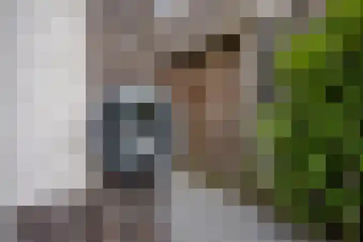 Burggraaf 8 Zevenhuizen thumbnail 51