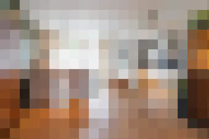Burggraaf Zwederlaan 13 Montfoort thumbnail 10