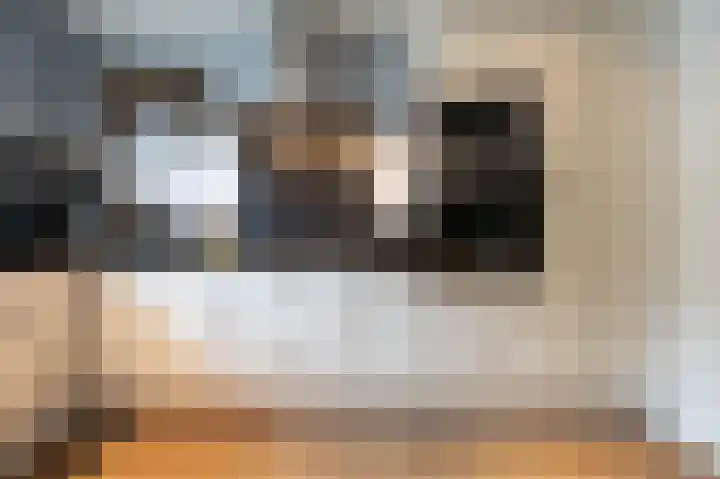 Burggraaf Zwederlaan 13 Montfoort thumbnail 15