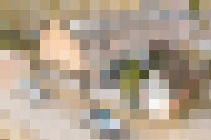 Burggraaf Zwederlaan 13 Montfoort thumbnail 4