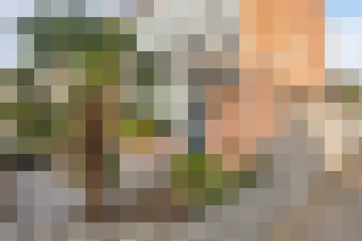 Burggraaf Zwederlaan 13 Montfoort thumbnail 6