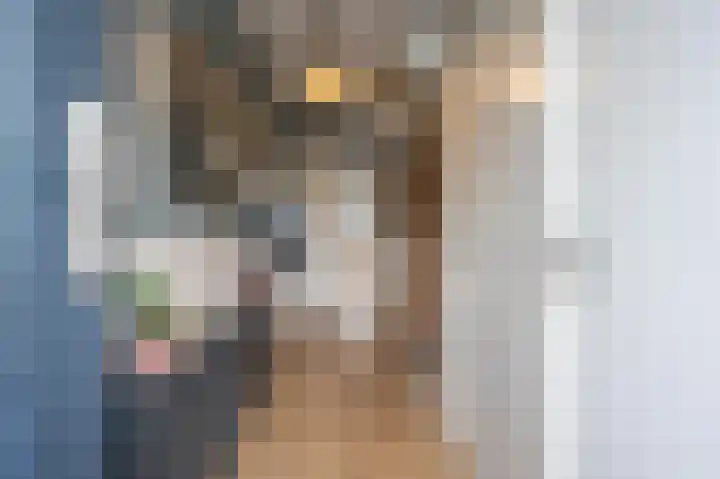 Burggraaf Zwederlaan 13 Montfoort thumbnail 7