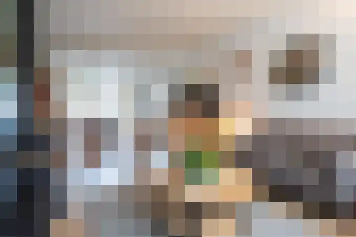 Burggraaf Zwederlaan 13 Montfoort thumbnail 9