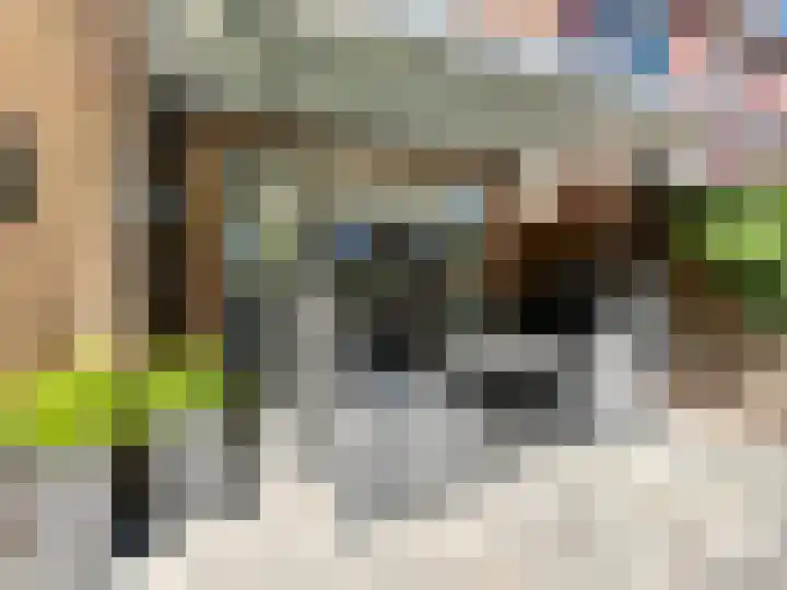 Burggraaf Zwederlaan 18 Montfoort thumbnail 14