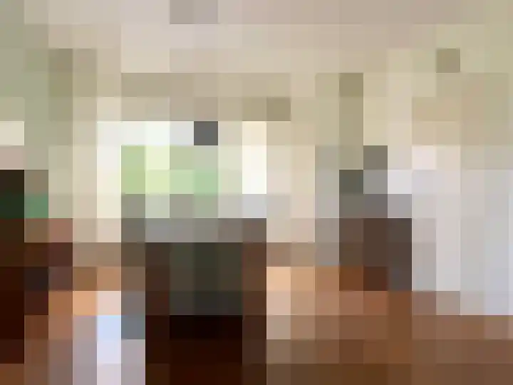 Burggraaf Zwederlaan 18 Montfoort thumbnail 4