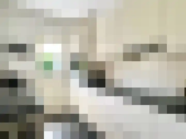 Burggraaf Zwederlaan 18 Montfoort thumbnail 5