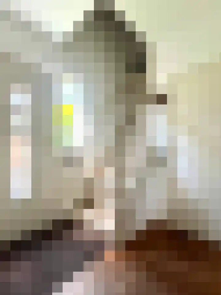 Burggraaf Zwederlaan 18 Montfoort thumbnail 7