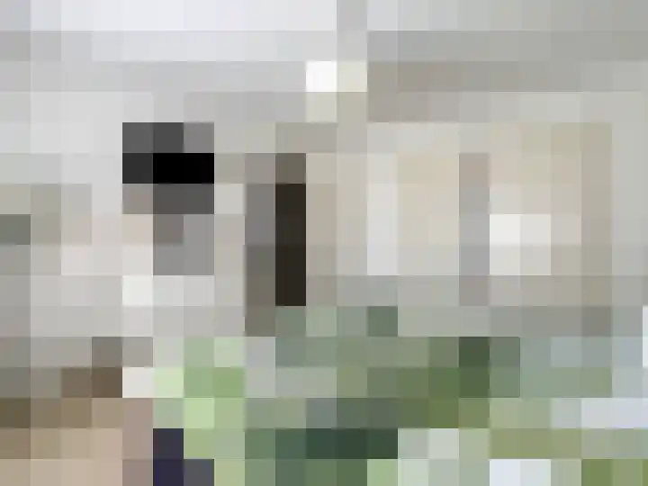 Burggraaf Zwederlaan 18 Montfoort thumbnail 9