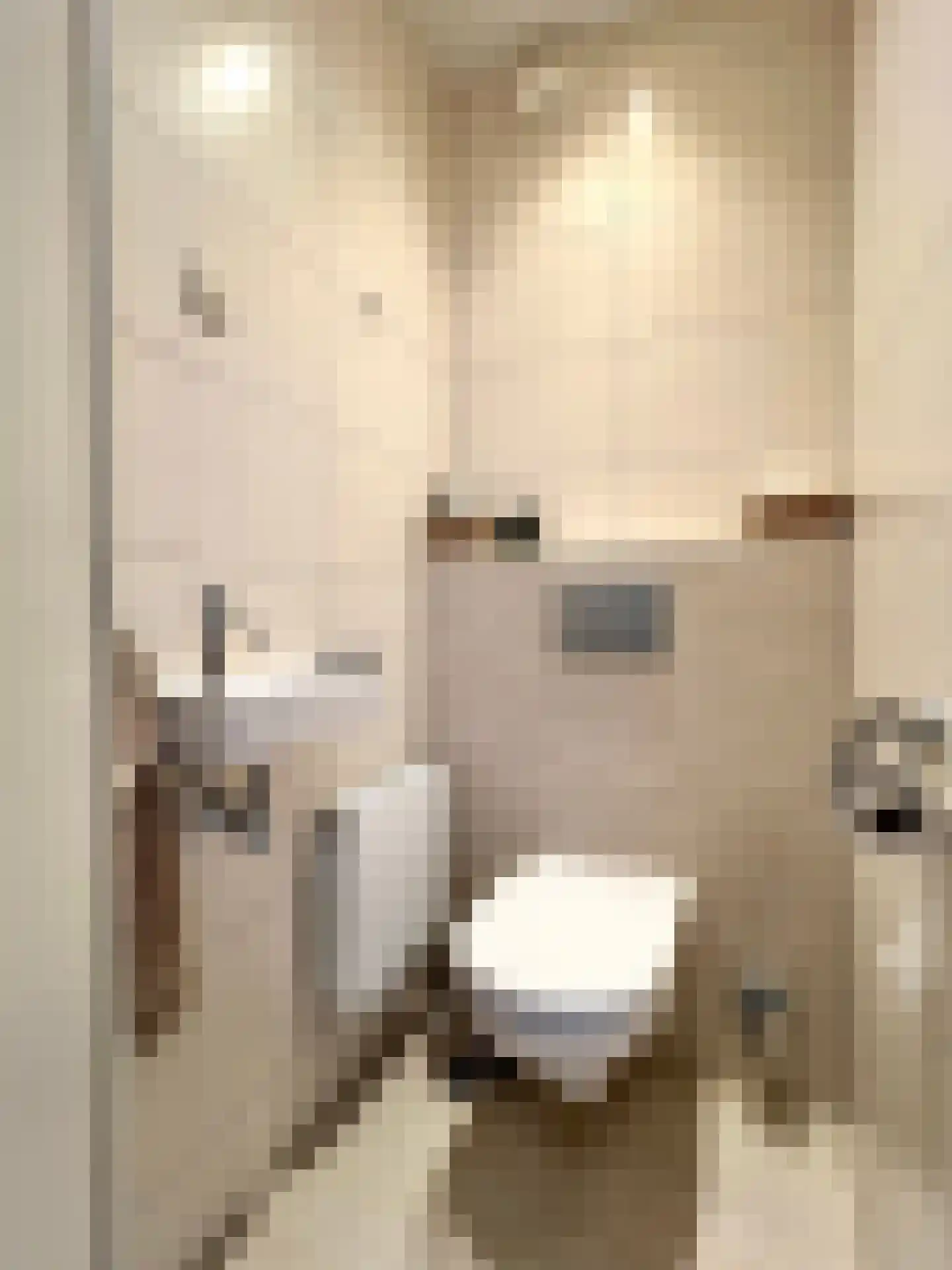 Burggraaf Zwederlaan 22 Montfoort thumbnail 15