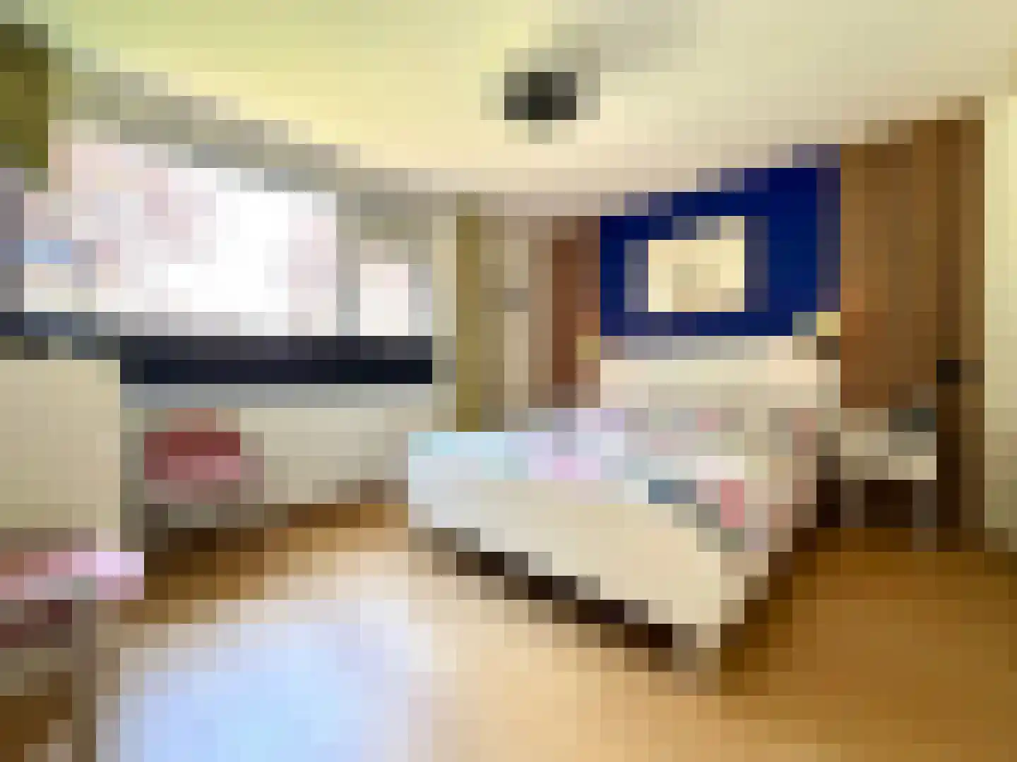 Burggraaf Zwederlaan 22 Montfoort thumbnail 17