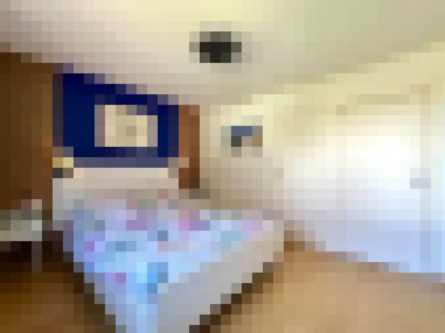 Burggraaf Zwederlaan 22 Montfoort thumbnail 18