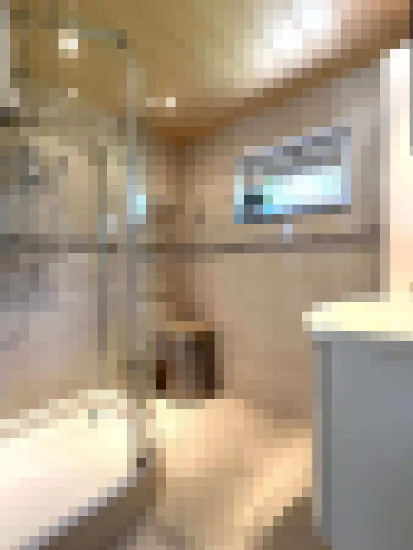 Burggraaf Zwederlaan 22 Montfoort thumbnail 23