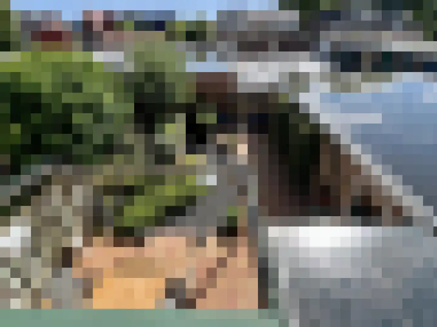 Burggraaf Zwederlaan 22 Montfoort thumbnail 30