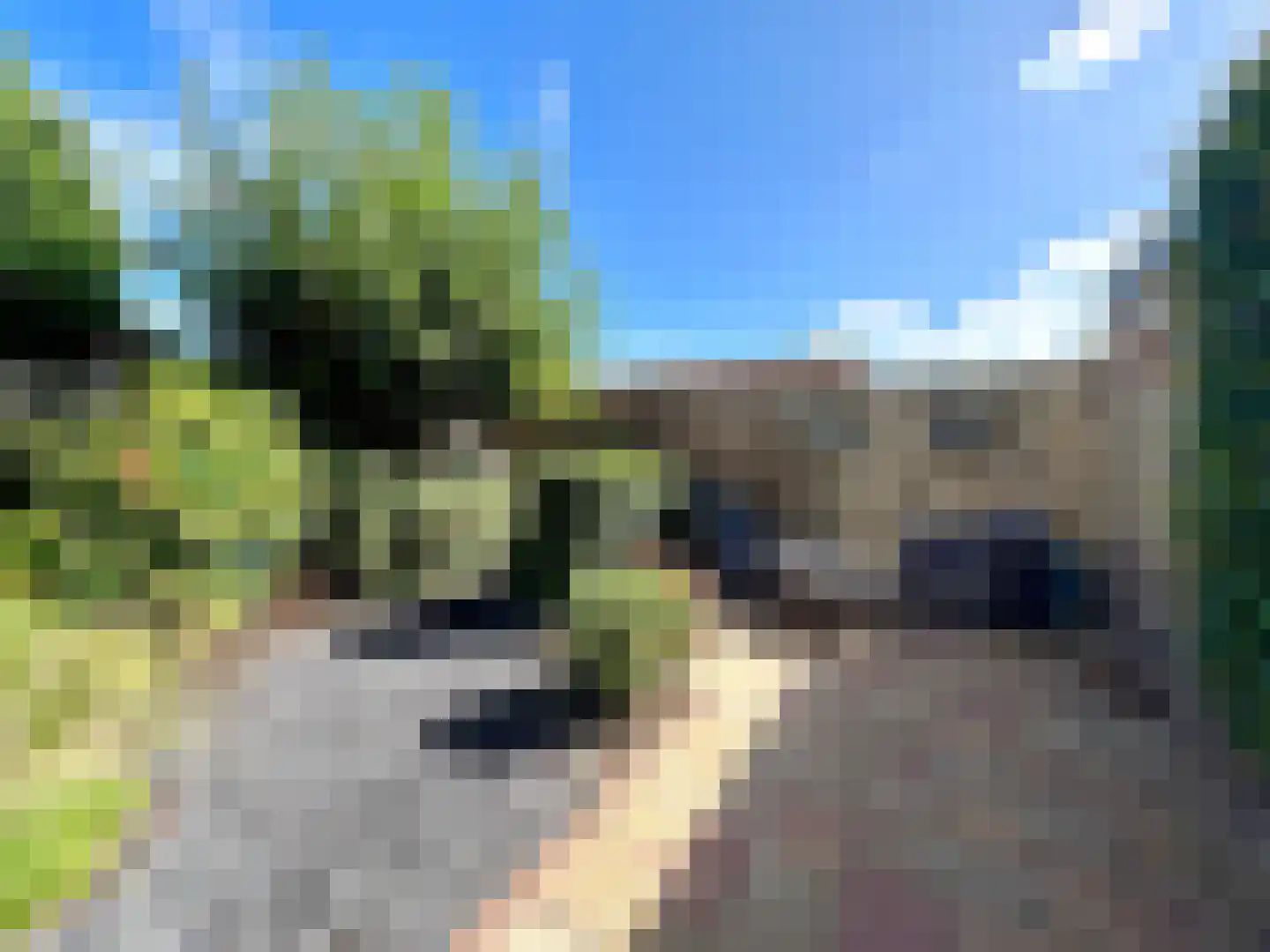 Burggraaf Zwederlaan 22 Montfoort thumbnail 32