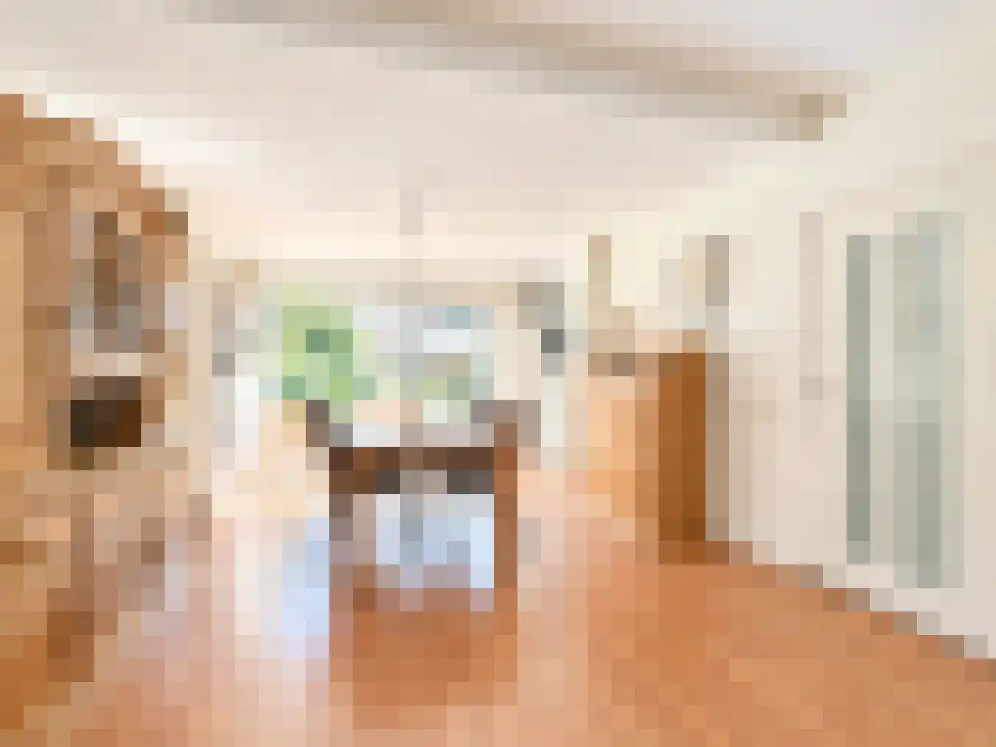 Burggraaf Zwederlaan 22 Montfoort thumbnail 6